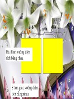 ĐỊNH LÝ PI TA GO