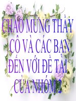 thích nghi kiểu hình ở đông vật 2