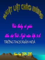 Mieu ta noi tam trong van ban tu su