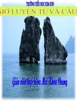 TỪ NHIỀU NGHĨA- Mai Khoa Chung