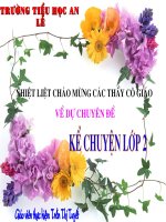 Tập đọc: Người mẹ hiền