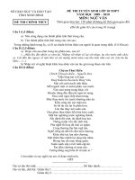 Đề thi TSL10 NB môn ngữ văn