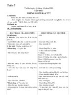 GIAO AN 5 TUAN 7 CKT( TR)