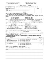 Đề KT Vật Lý 6