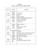 Tuần 33 lớp 3 SN