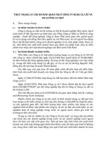 THỰC TRẠNG CƠ CẤU BỘ MÁY QUẢN TRỊ Ở CÔNG TY DỤNG CỤ CẮT VÀ ĐO LƯỜNG CƠ KHÍ