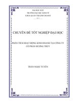 PHÂN TÍCH HOẠT ĐỘNG KINH DOANH tại CÔNG TY cổ PHẦN HƯƠNG THỦY 