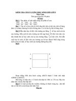 Đề thi - Đáp án kiểm tra chất lượng HSG lớp 5