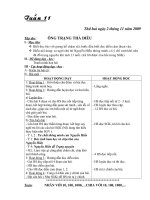 GA lớp 4Tuần 11- CKTKN - 2010