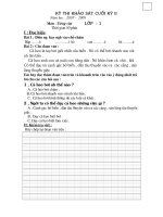 Tiếng Việt KII (tham khảo)