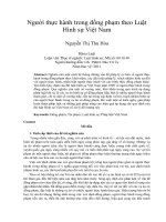 Người thực hành trong đồng phạm theo luật Việt Nam