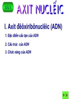 Bài 6 : Axit Nuclêic