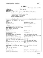 GA LỚP 1 TUẦN 14