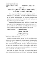 báo cáo tổng kết đội