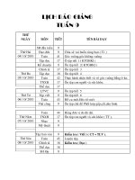 GIÁO ÁN LỚP 3. TUẦN 9