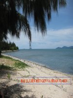 Bài 11. Kiên kết gen và hoán vị gen.