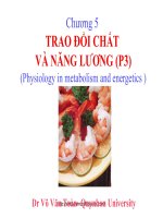 TRAO ĐỔI CHẤT VÀ NANG LUONG P3