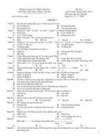 ĐỀ TRẮC NGHIỆM HSG 5 (CÓ PHIẾU CHẤM)