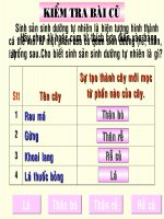 Sinh sản sinh dưỡng do người