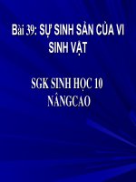 su sinh san cua vi sinh vat