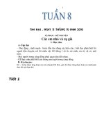 tuần 8 lop 3(cktkn 2010)