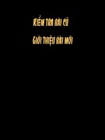 CD9_nang động sáng tạo