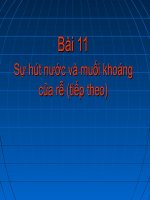 bài 11