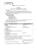 Giáo Án Lớp 4 CKTKN