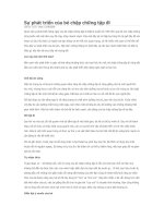 SU PHAT TRIEN CUA BE CHAP CHUNG TAP DI