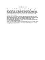 Từ trên đỉnh núi