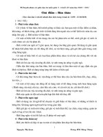 GIAO AN MAU CUC HAY 2010