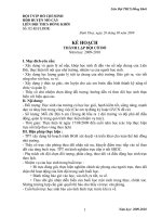 KẾ HOẠCH THÀNH LẬP ĐỘI CỜ ĐỎ