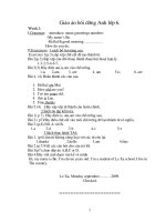 giáo án bồi dưỡng TA 6