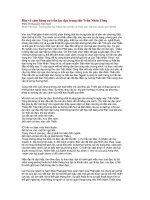 Cảm hứng cư trần lạc đạo trong thơ Trần Nhân Tông