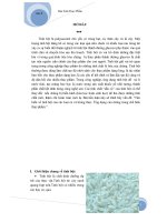 tinh bột của các loại củ và lương thực, ứng dụng của chúng 