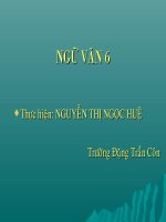 Bài giảng: Động Phong Nha