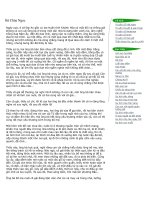 Truyện cổ tích Bà chúa ngọc