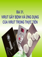 bai 31: vi rus gay benh va ung dung cua vi rú trong thuc tien