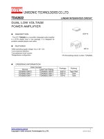 DUAL LOW VOLTAGE POWER AMPLIFIER 