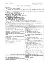 Giao an tuan 6 lop 6 cuc hot