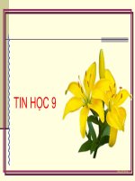 Tiết 1,2:Mạng máy tính