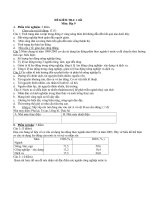 Đề kiểm tra một tiết- Học kì I