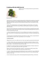 6 DƯỠNG CHẤT CẦN THIẾT CHO TRẺ.