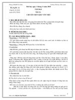 giao an 5 tuan 11 cac mon (S.A) mot cot