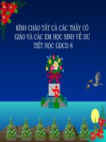 Lao dong tu giac sang tao