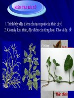 tiết14 than dai ra do dau