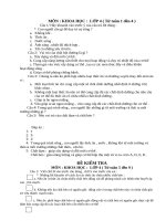 Bộ đề và đáp án khảo sát môn Khoa học lớp 4