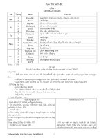 GA Lớp 3 tuần 8 theo chuẩn