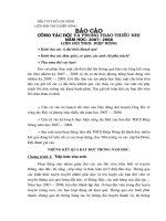 Báo cáo đại hội liên Đội