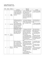 CHUAN KIEN THUC KI NANG TOAN 8